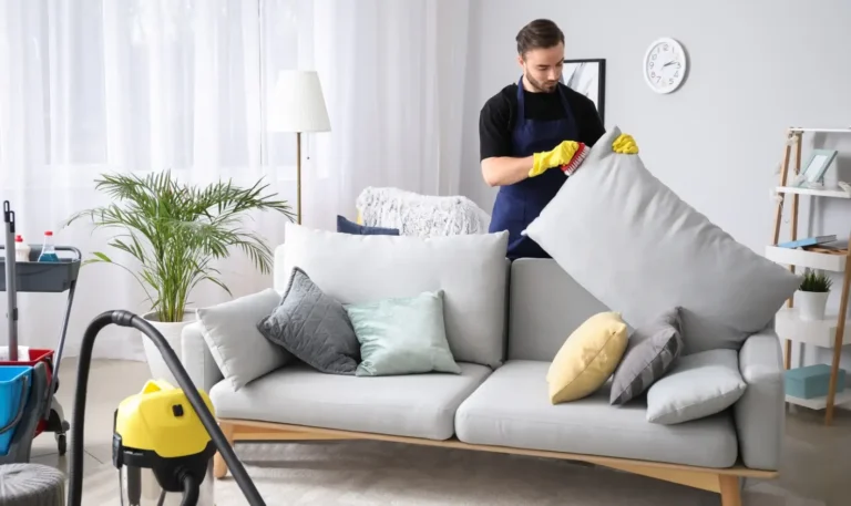 Sofa Cleaning
