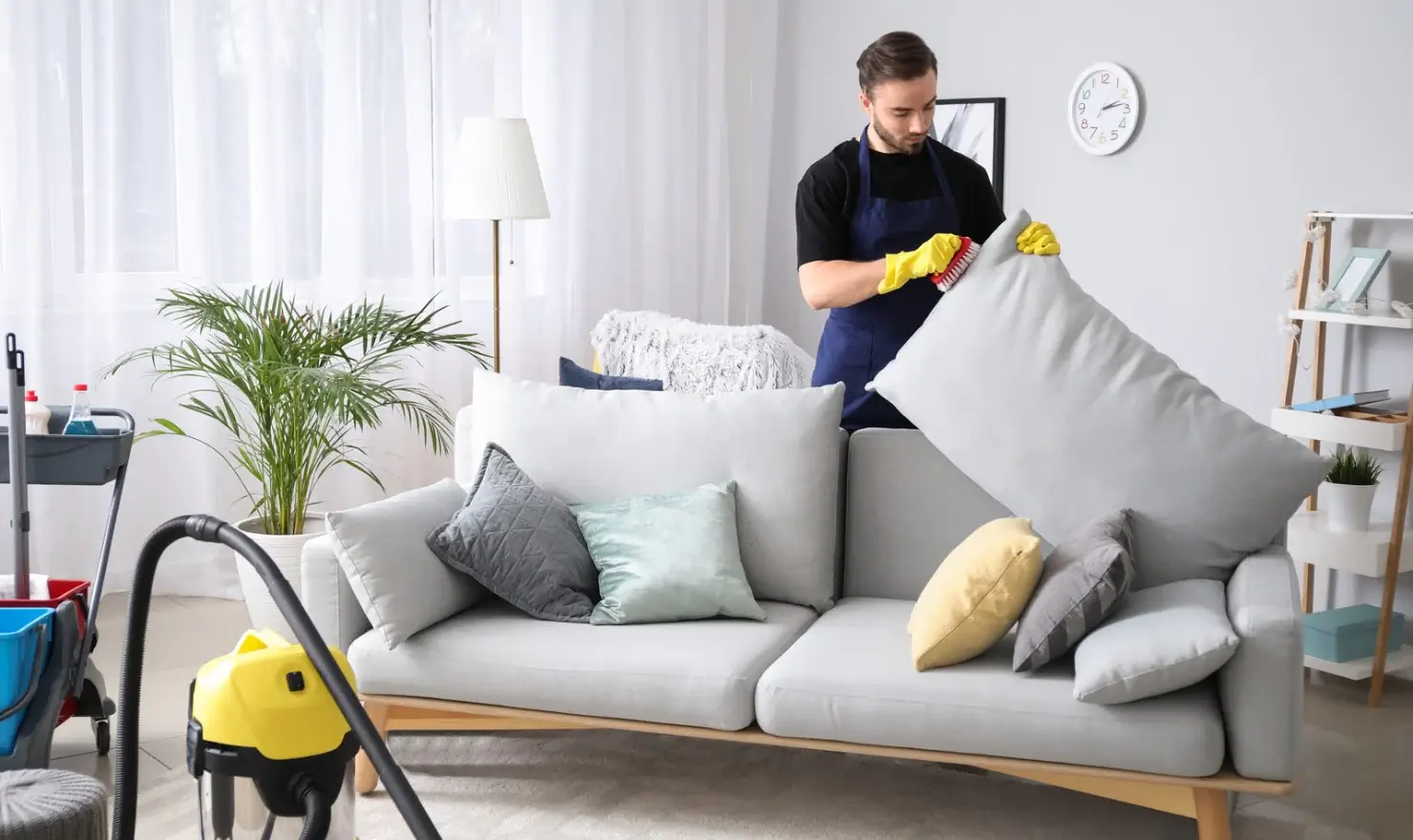 Sofa Cleaning